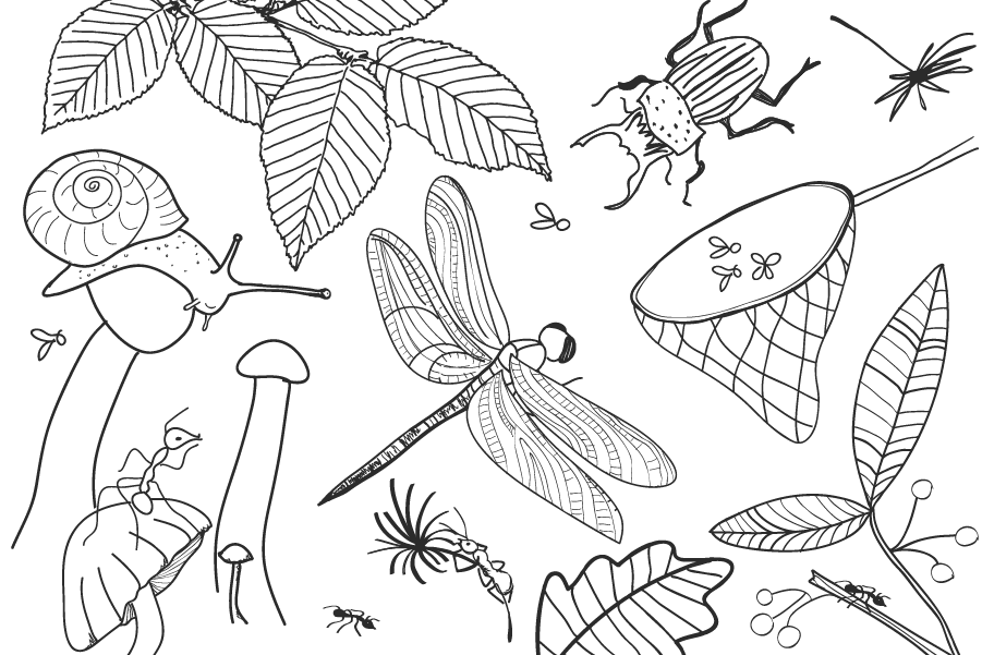 Cartes postales à colorier (unité) - Peakbwa