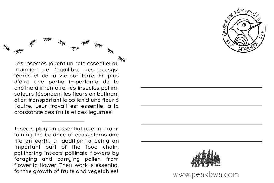 Cartes postales à colorier (unité) - Peakbwa