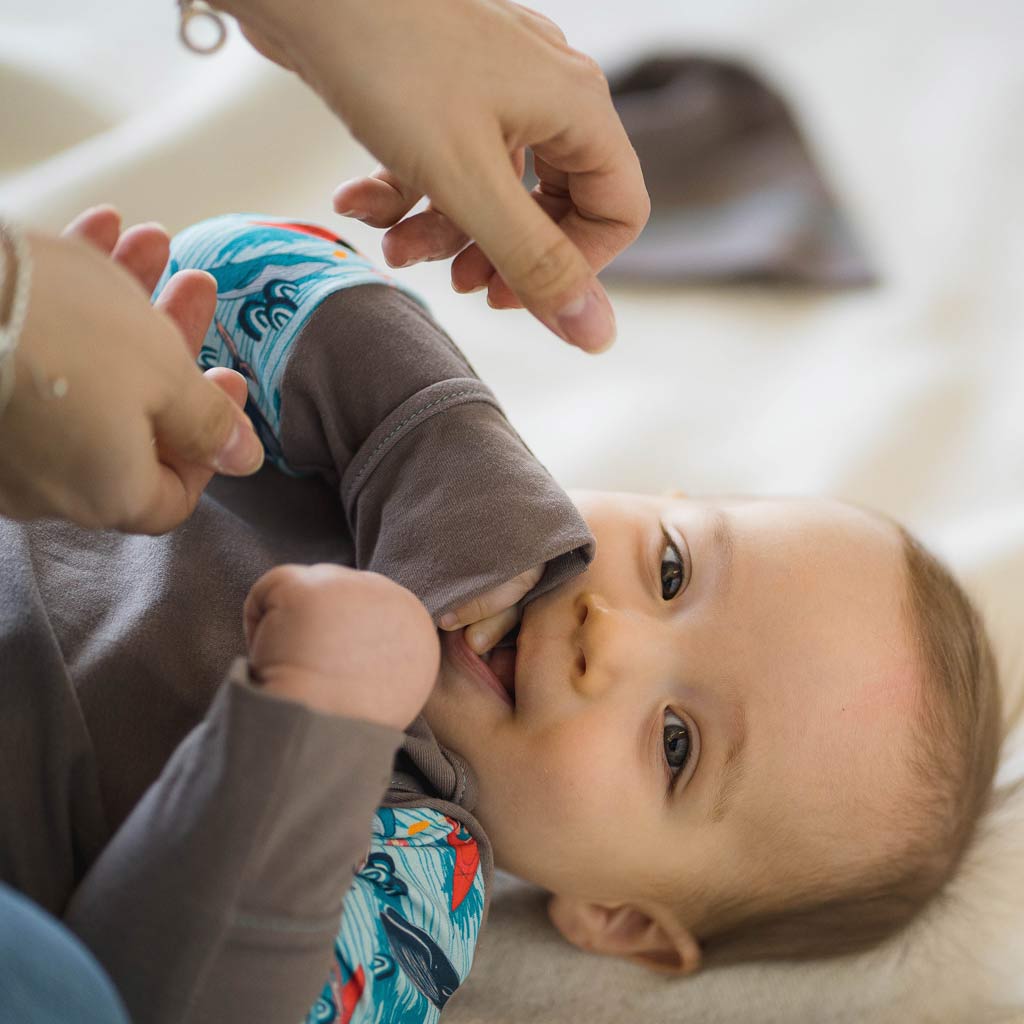 Ensemble 5 en 1 évolutif LITTORAL - Peakbwa